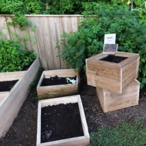 PLANT BOX TORROX